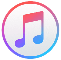 Custom Social Icon